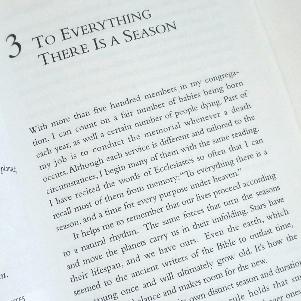 Goodbye, Friend: Healing Wisdom for Pet Owners By Gary Kowalski - Picture 4 of 9